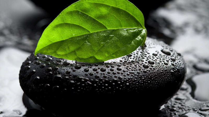 hd, leaf, macro, drops, rock, colorsplash, 1080P, water, nature