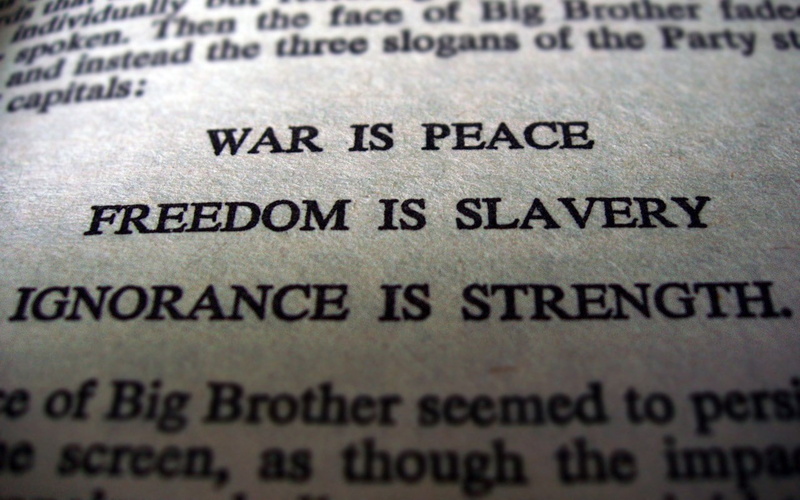 quote, no people, full frame, indoors, western script, business, 720P, loss, single word, food and drink, bankruptcy, document, paper, printing out, close-up