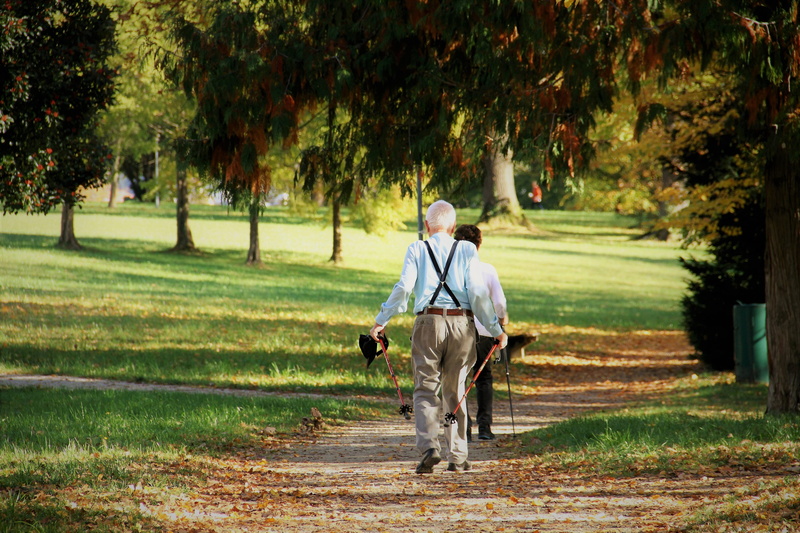 athletic old people, trimmers, october, seniors, sleeved, people, riding, plant, pets, sport nordic walking, pants, emerge, park, string, casual clothing