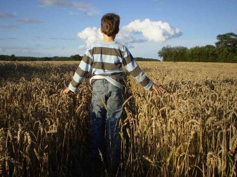 long, shirt, rear view, wheat, plant, one person, food, rural scene, real people, stripe, daytime, nature, sky, leisure activity, scenics - nature, outdoors