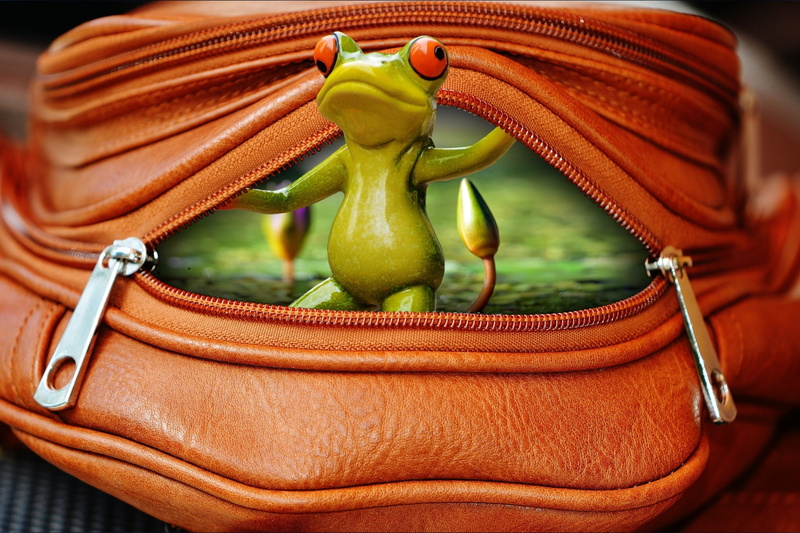 pepper, frog, healthy eating, outdoors, focus on foreground, funny, food, green, container, open, zip, freshness, basket, no people, edited, tree, close-up
