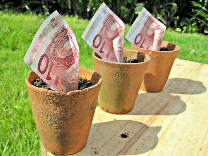 bills, money bills, brown, 10 euro note, currency, paper Currency, three, pots, pot, euros, Europe, grass, plant, finance, money, euro currency, pieces
