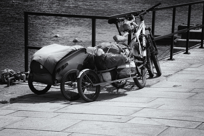 horse, cart, mammal, mode of transportation, city, outdoors, seat, sunlight, black-and-white, animal, paving stone, ocean, vertebrate, animal wildlife