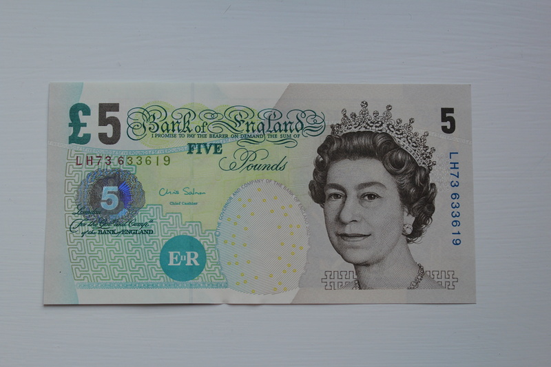 paper Currency, banking, close-up, business, pound, paper, portrait, western script, one person, wealth, currency, the greenback, digital composite, headshot