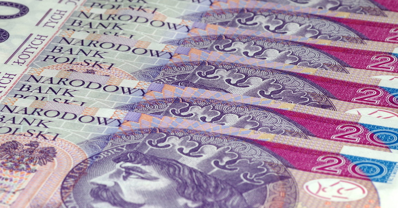 wealth, currency, abstract, global business, polish zloty, abstract backgrounds, banking, means of payment, macro, money, euro banknotes, financial, price