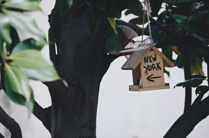 text, tree trunk, new york, garden, tree leaf, communication, montpellier, hanging, 2K, focus on foreground, hut, bird, no people, plant, growth, tree