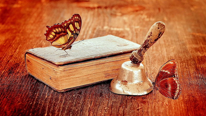 animal themes, publication, table, butterfly, education, animals in the wild, focus on foreground, insect, butterflies, book, 1080P, indoors, antique