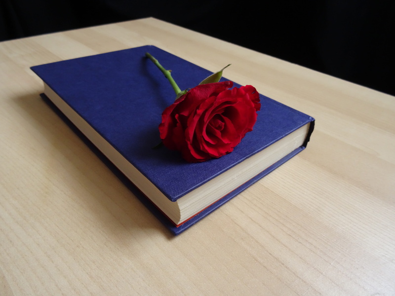 vintage, table, read, literature, petal, flower arrangement, valentine, indoors, love, emotion, book, 5K, romance novel, freshness, red, novel, ebook