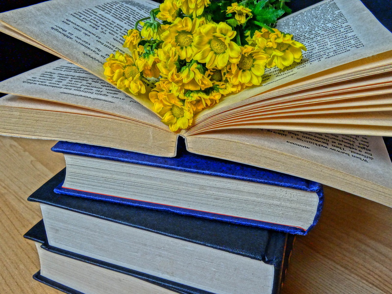 educational, publication, student, table, flower, blue, paper, leisure, wisdom, story, page, learning, book worm, intelligent, no people, reading book