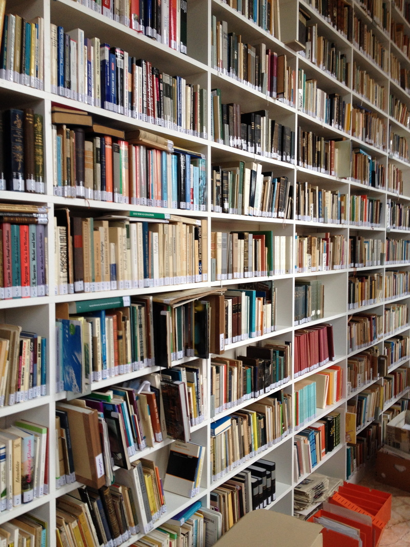 arts culture and entertainment, 2K, Shelf, choice, study, borrow, Book, know, full frame, Books, bookshelf, indoors, in a row, hardcover book, order, bookcase