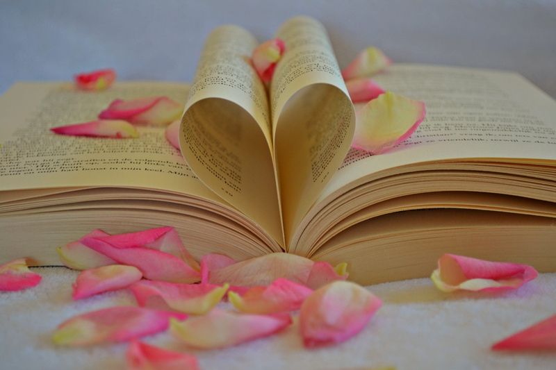 blur, book, in love, focus, no people, beauty in nature, rose petals, reading, literature, plant, still life, flower, knowledge, rose, heart, studying