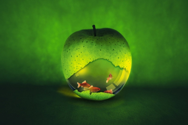 green, 720P, Apple, ripe, freshness, food and drink, indoors, granny smith apple, no people, fishes, apple - fruit, Animal, creativity, illustration, still life