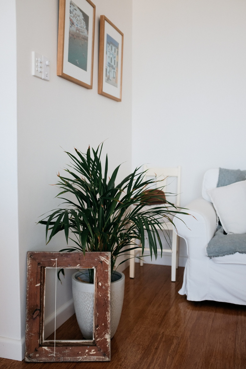 absence, no people, potted plant, furnitures, inside, wood, floor, plant, wall - building feature, houseplant, interior design, table, beside, wall, room
