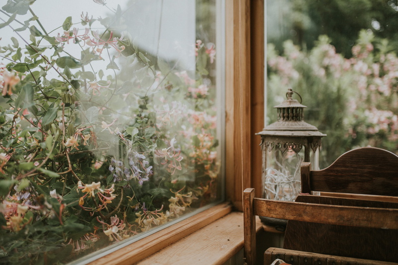 outdoors, chair, fragility, glass - material, flowering plant, lantern, beside, wood, growth, window, absence, flower pot, wooden frame, brown, electric lamp