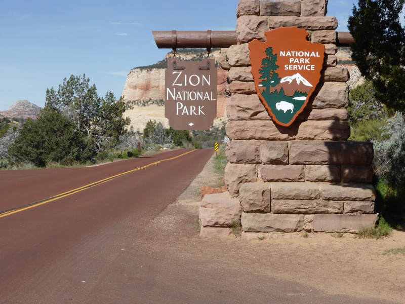 tree, information sign, travel Locations, day, 4K, no people, transportation, guidance, Zion National Park, information, the way forward, uSA, color Image