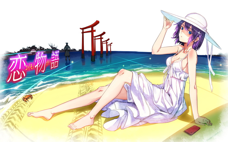Anime, pool, vacations, women, water, trip, nature, Deishuu Kaiki, Bakemonogatari, sitting, beautiful woman, 1080P, Hitagi Senjōgahara, Monogatari (Series)