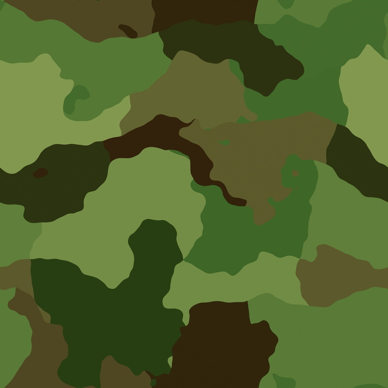 1080P, backgrounds, nature, green color, indoors, studio shot, pattern, military, creativity, full frame, design, map, camouflage, silhouette, large group of objects