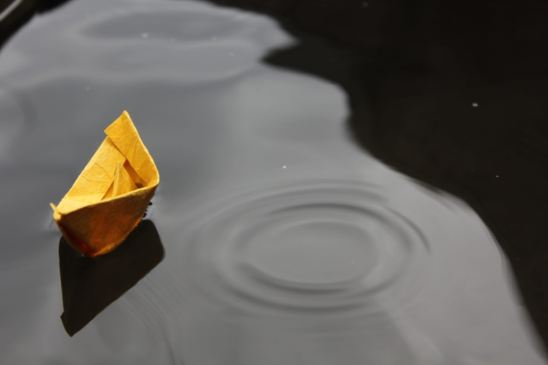 5K, leaves, high angle view, childhood, leaf, boat, close-up, nature, paper, day, waterfront, fun, floating, autumn, change, reflection, no people, body