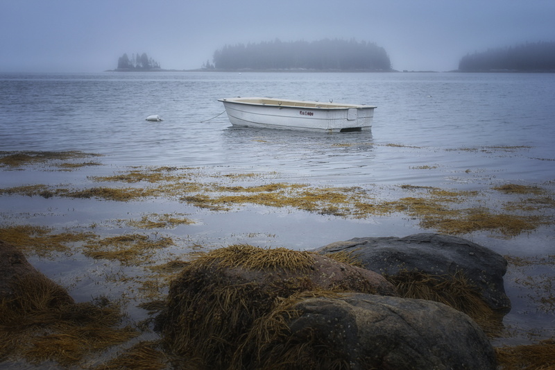 sand, beach, 5K, outdoor, body, plant, island, water, hiking, discovery, boat, trekking, land, happy, beauty in nature, canoe, old, seaweed, adventure