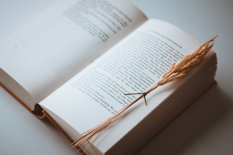 wheat, page, opened, hd, paper, literature, book, 5K, white color, ope, table, read, text, white, communication, sunlight, indoors, high angle view, diary