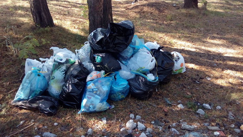 field, environmental issues, bag, 2K, pollution, nature, high angle view, outdoors, garbage, environmental action, plastic, environment, plastic bag, real people
