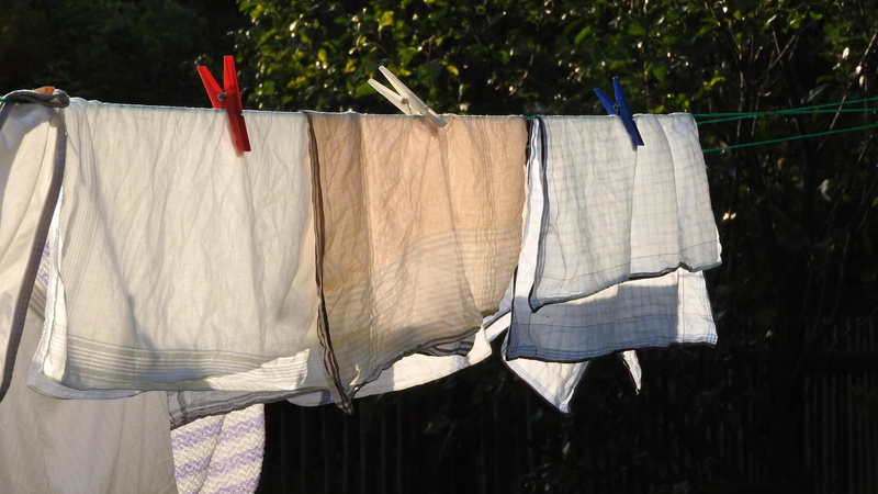 no people, washed linen, clothesline, day, chores, clean, outdoors, hanging, washing, plant, drying, housework, white color, nature, large laundry, cleaning