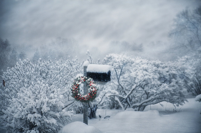 warm clothing, environment, snow, snowing, cold temperature, scenics - nature, land, snowcapped mountain, tree, landscape, beauty in nature, plant, wreath