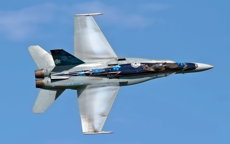 gray, fighter Plane, airshow, air Vehicle, jet, commercial Airplane, nature, on the move, air, day, airplane, aviation, transportation, air Force, military Airplane