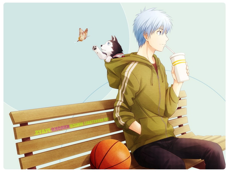 casual clothing, sitting, sport, Kuroko No Basket, domestic, anime, one person, domestic animals, 480P, holding, three quarter length, real people, indoors