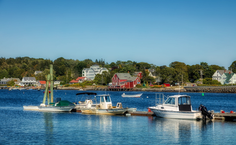harbor, waterfront, anchored, maine, sailboats, buildings, tree, america, nautical vessel, transportation, passenger craft, outdoors, mode of transportation