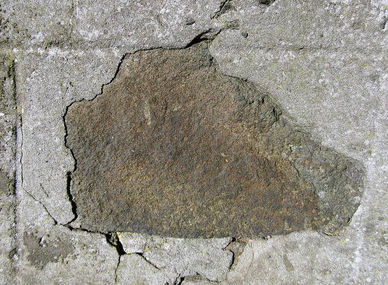 rough, mud, nature, close-up, built structure, animal, outdoors, flagstone, textured, day, directly above, mattock, soil, plant, solid, wall - building feature