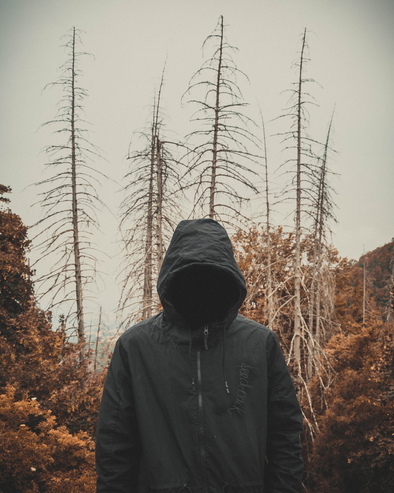 standing, clothing, outdoors, real people, art, weird, fear, tree, sky, land, plant, hood - clothing, horror movie, nature, dark, mysterious, cold temperature
