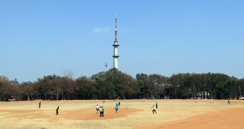cricket, sports, sky, tree, people, practice, india, leisure activity, crowd, playing, outdoors, men, clear sky, game, college, plant, 4K, tower, nature
