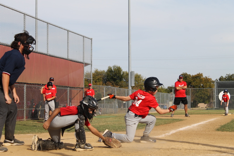 child, bat, home, nature, swinging, athlete, competition, group, baseball player, teenager, hitting, run, boys, girls, standing, baseball bat, cap, player