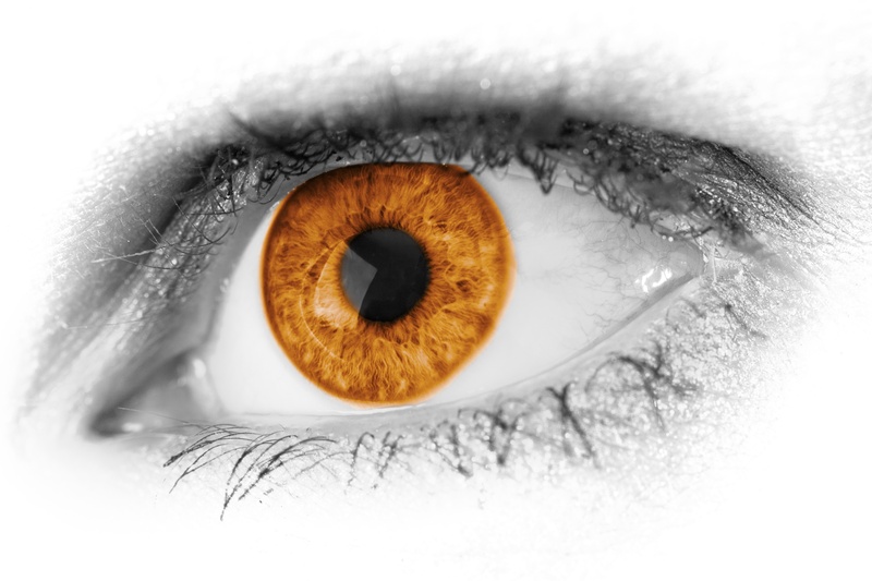 studio shot, detail, woman, eye, adult, photo, sensory perception, extreme close-up, pupil, vision, see, close, human, human face, make-up, human Eye, optical