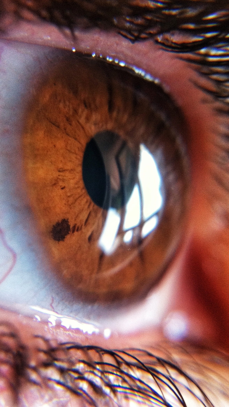 human, female, 1080P, human body part, brown, body part, full frame, macro, close-up, optical, looking, extreme close-up, eyebrow, sight, woman, look