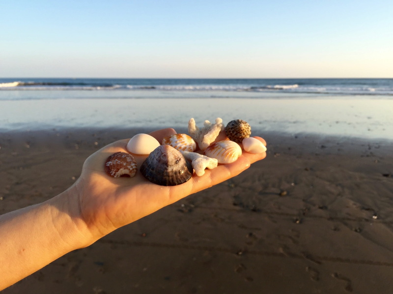 Sea, paradise, nature, personal perspective, aquatic, beach, Water, one person, Sea, unique, horizon, human body part, holiday, shells, landscape, unrecognizable person