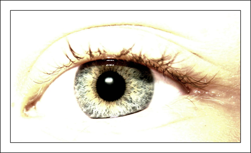 eyes, body part, iris, flower, eyeball, women, human body part, close, looking at camera, unrecognizable person, human face, look, 2K, beautiful woman