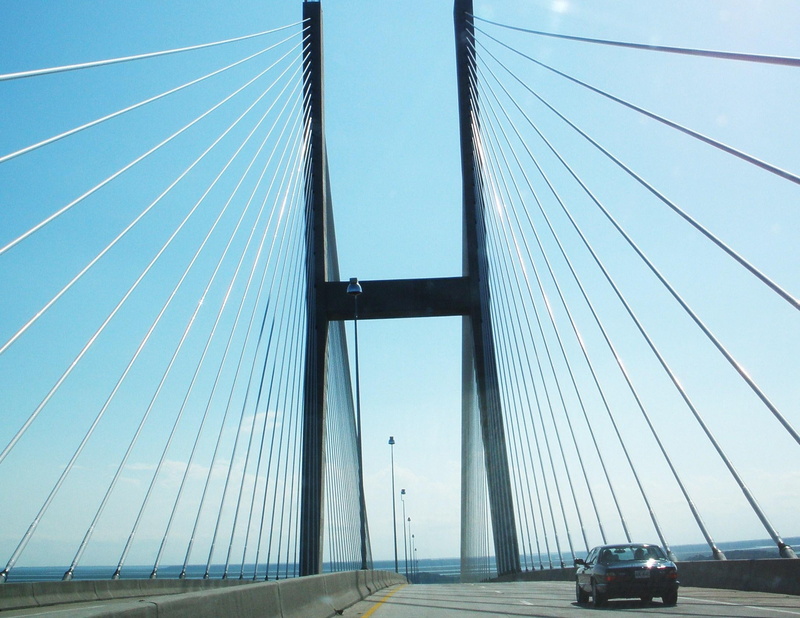 ohh, 1080P, want, georgia, look, stop, amp, bridge, animals, jekyll island