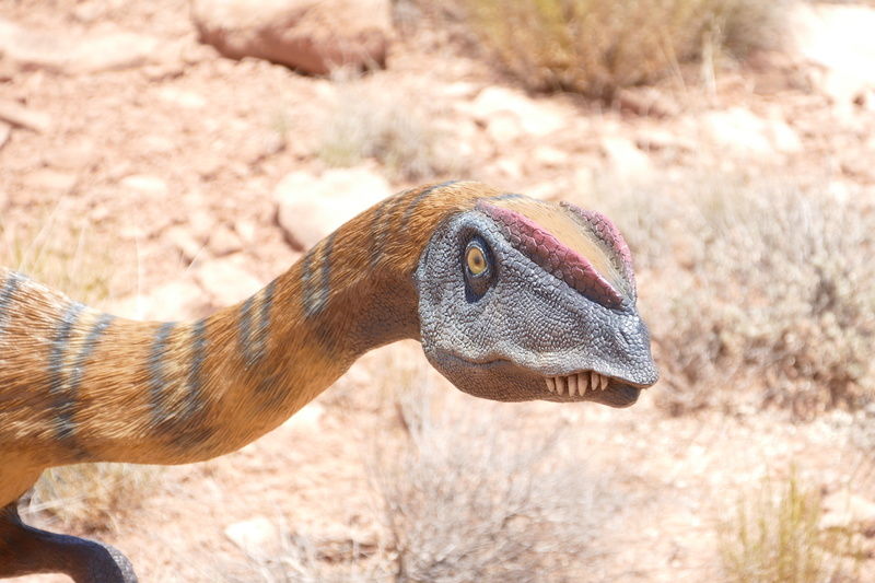wildlife, cretaceous, fossil, animal neck, animal eye, vertebrate, sunlight, jurassic, museum, land, close-up, utah, marine, day, reptile, extinct, park
