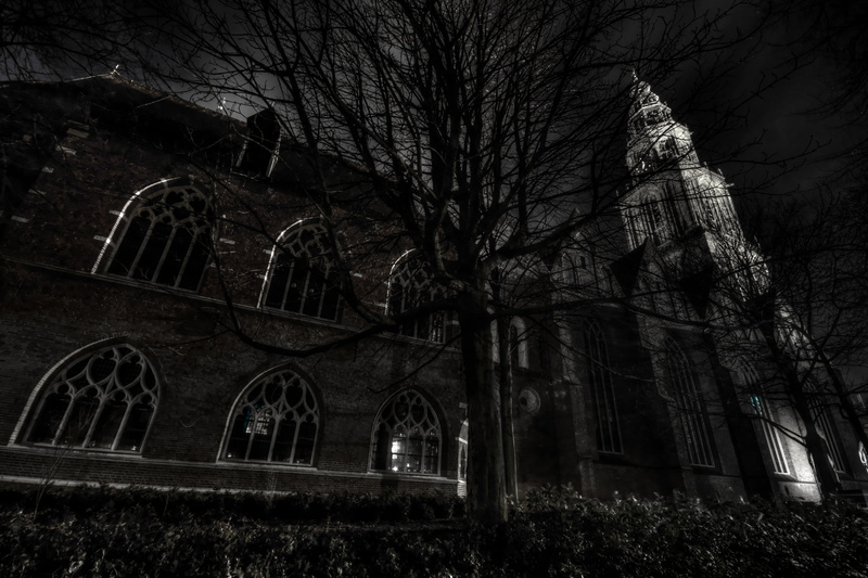 spirituality, building exterior, branch, building, arch, low angle view, history, night, winter, plant, tree, european, gothic Style, architecture, built structure
