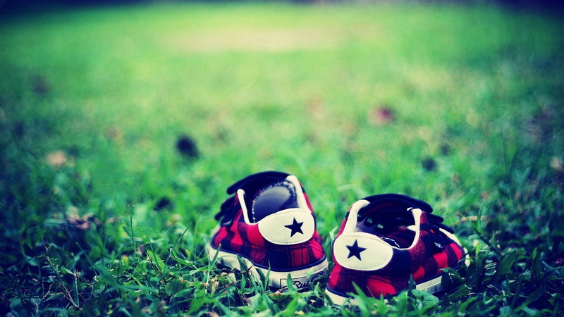 creativity, plant, sneakers, red, focus on foreground, grass, green color, representation, personal accessory, group of objects, small, outdoors, nature
