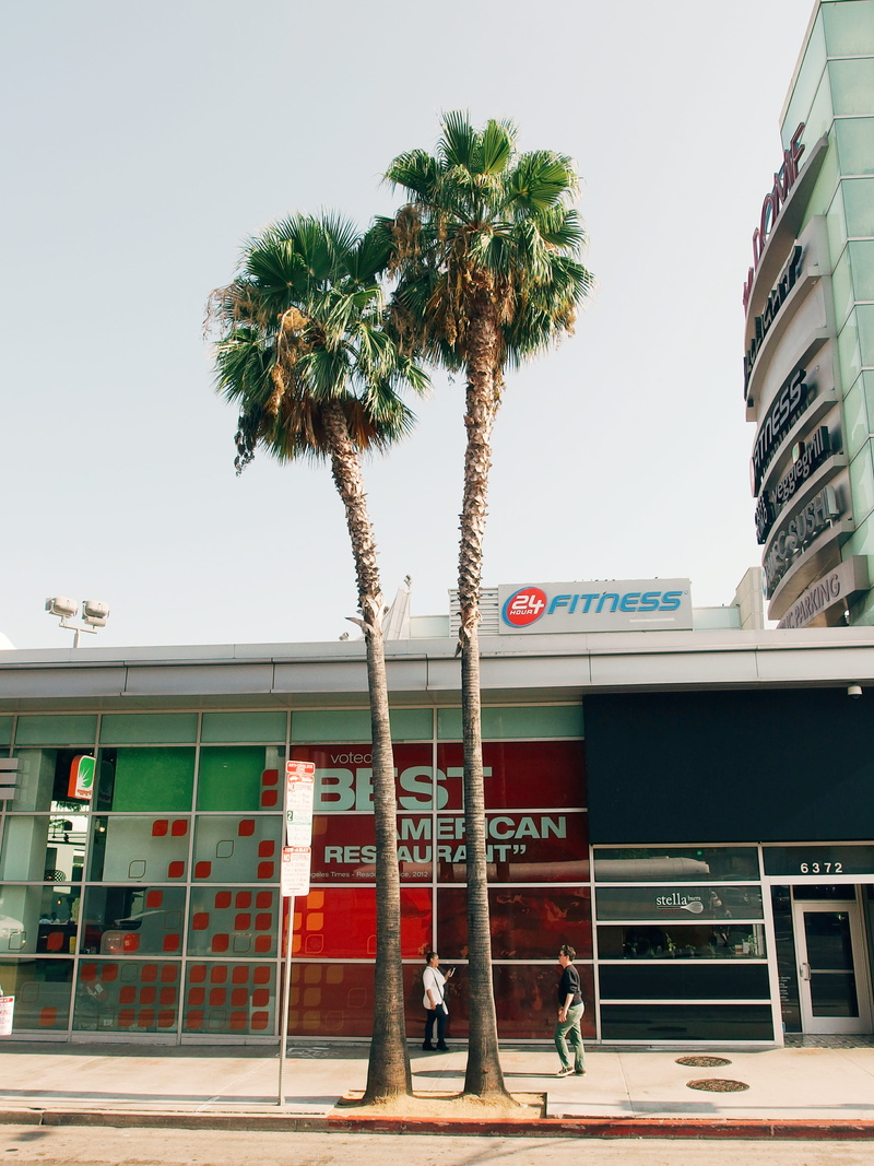 usa, palmtree, building, los angeles, la, growth, street, united states, palm tree, red, tropical climate, palm, outdoors, built structure, building exterior