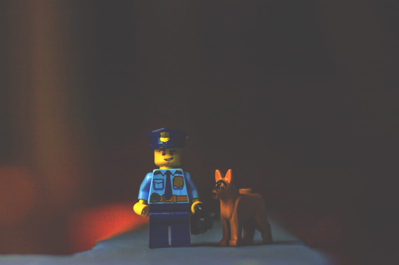art and craft, creativity, domestic animals, police, representation, small, black background, toy car, toy, lego, domestic, people, 4K, childhood, officer