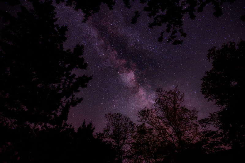 star field, night, star - Space, beauty in nature, nature, moon, low angle view, afraid, outdoors, sky, constellation, no people, milky Way, purple, nighttime