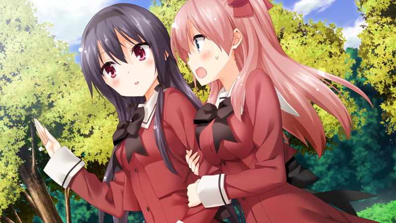 Anime, A Kiss For The Petals - Remembering How We Met, 1080P, Yuri