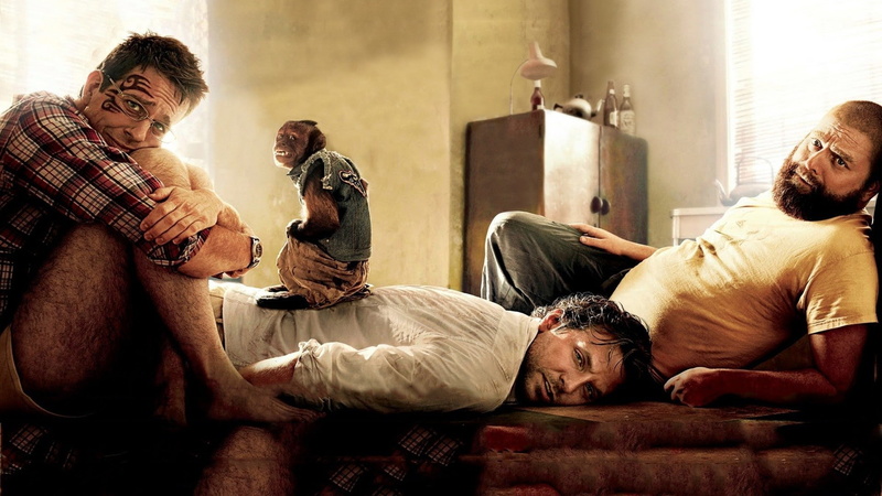 emotion, sitting, indoors, people, mammal, pets, furniture, movies hangover part ii, 1080P, men, group of people, adult, domestic, fun, mature adult, males