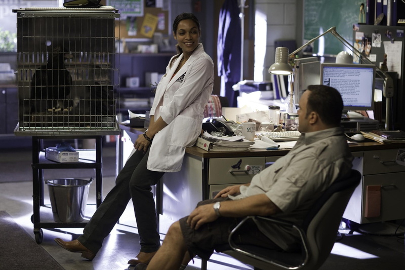 1080P, Kevin James, Zookeeper (Movie), Zookeeper, Movie, Rosario Dawson