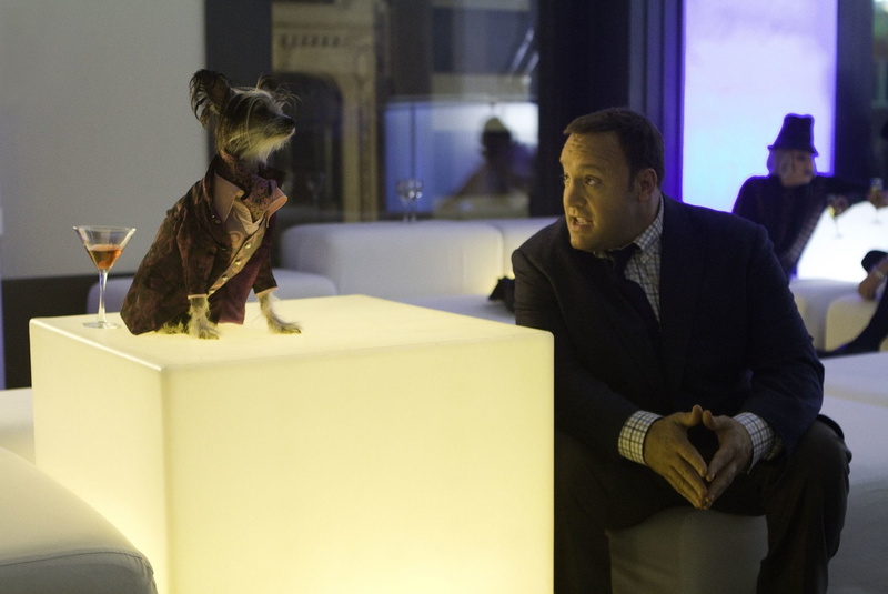 Zookeeper, 1080P, Zookeeper (Movie), Movie, Kevin James