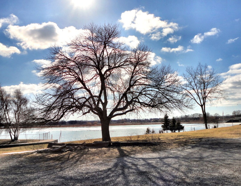 me  my, photography, body of water, snow, River, winter, water, nature, body, Tree, outdoors, landscape, 480P, Canada, landscape photography, bare, gear